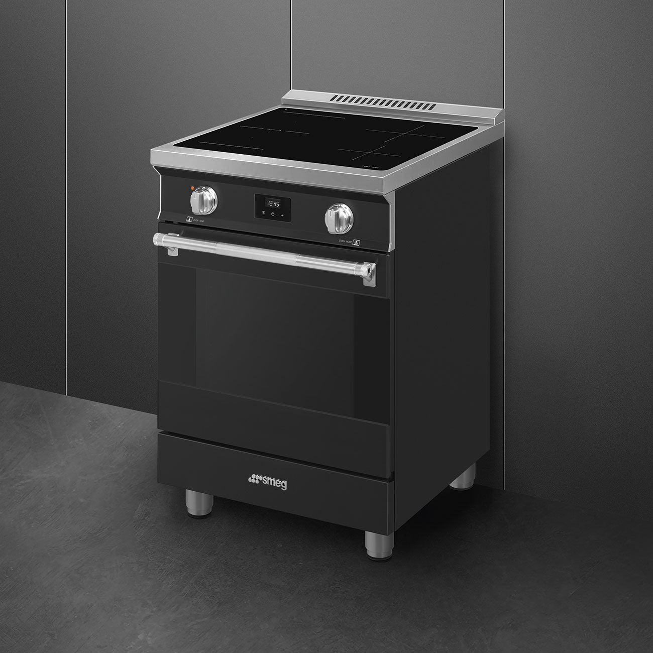 Professional Range 24" - Induction