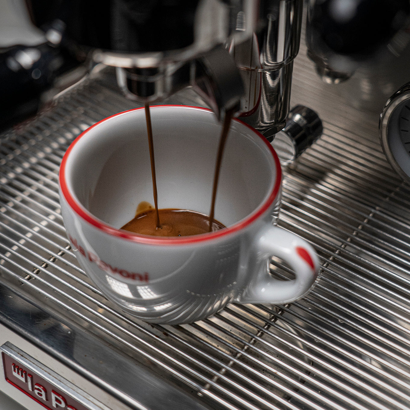 La Pavoni Cellini Evolution Staibless Steel - LPSCVS11US