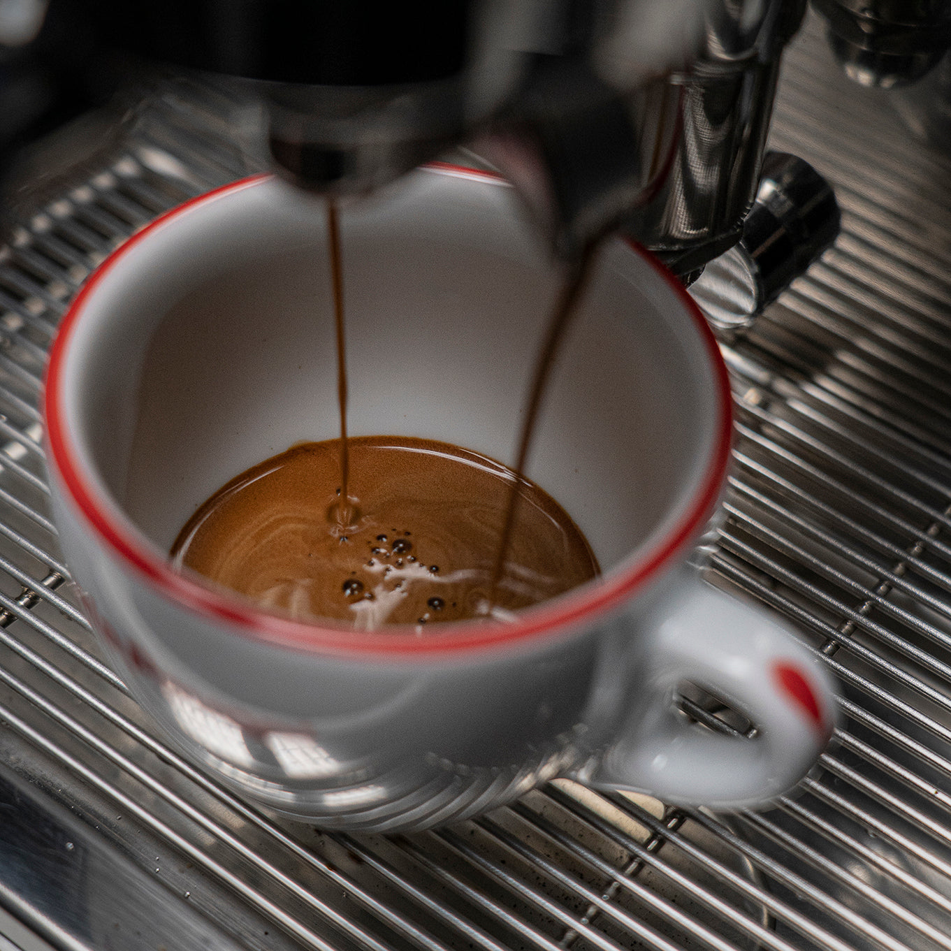 La Pavoni Cellini Evolution Staibless Steel - LPSCVS11US