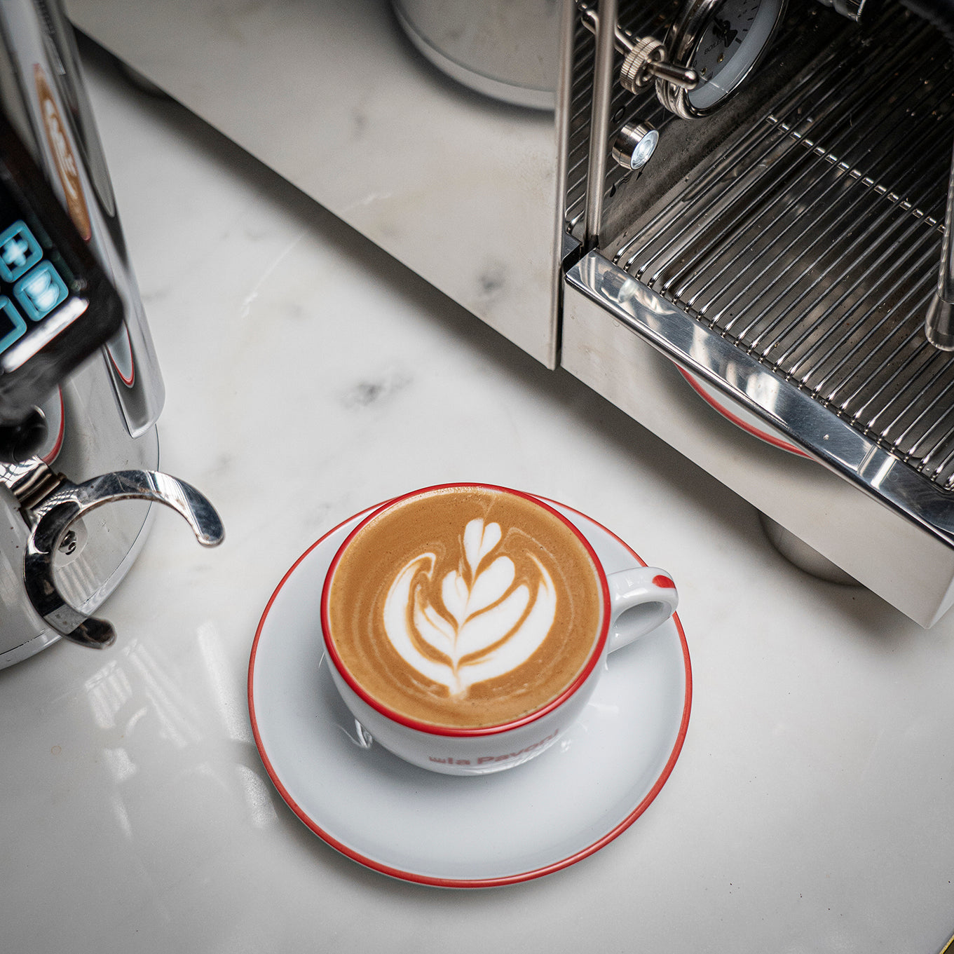 La Pavoni Cellini Evolution Staibless Steel - LPSCVS11US