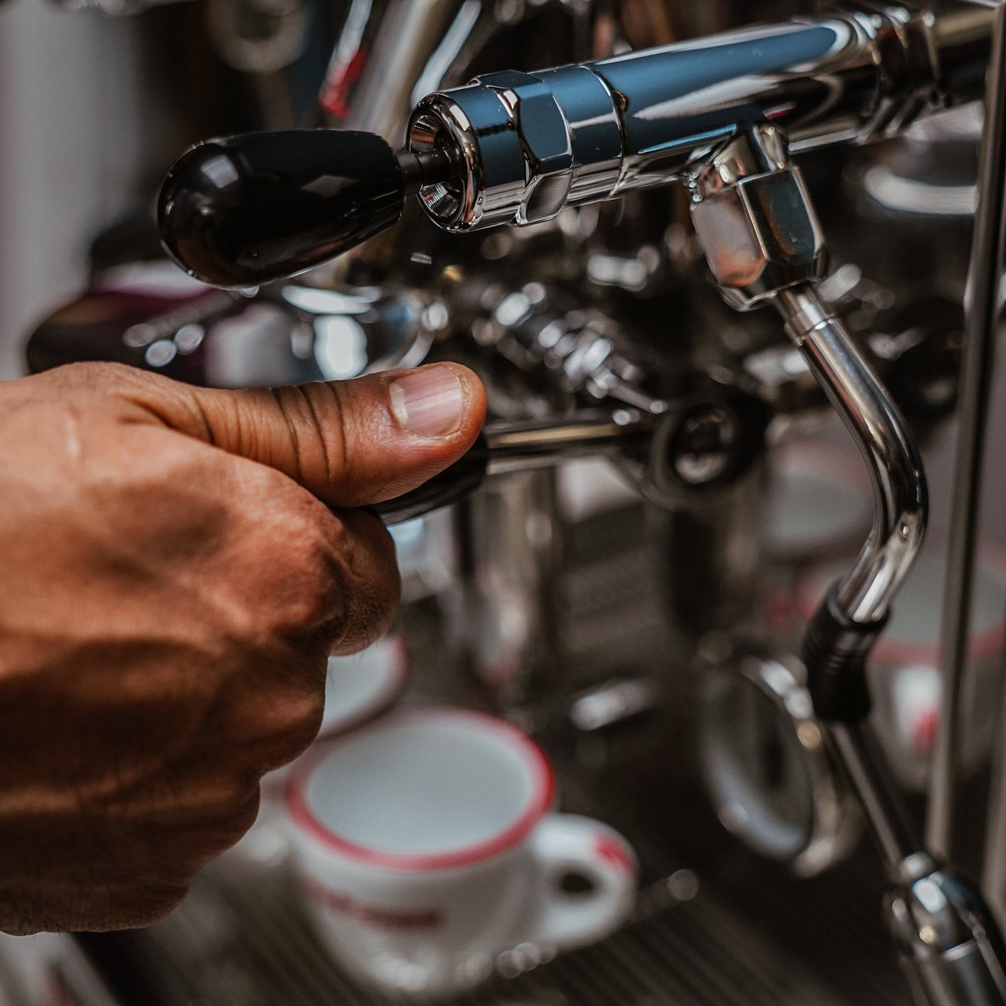 La Pavoni Cellini Evolution Staibless Steel - LPSCVS11US