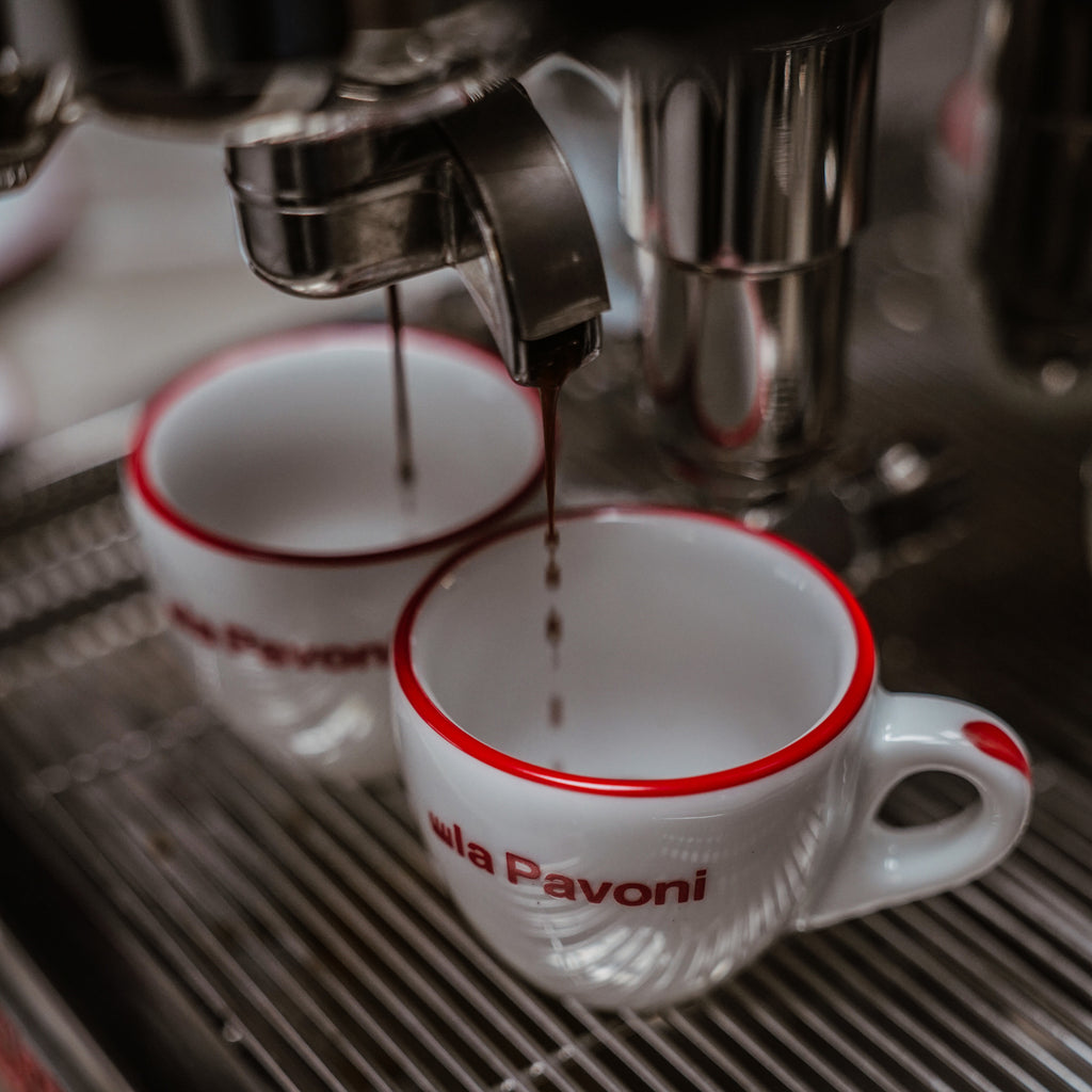 La Pavoni Cellini Evolution Semi-Pro Espresso Machine (Stainless Steel)