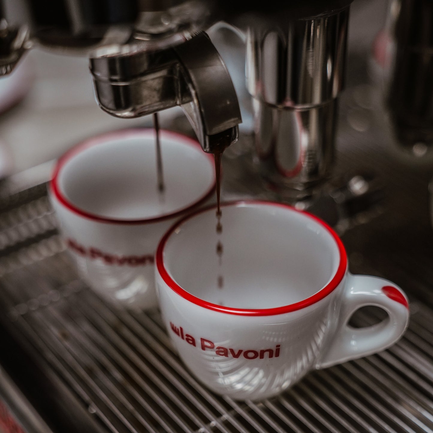 La Pavoni Cellini Evolution Staibless Steel - LPSCVS11US