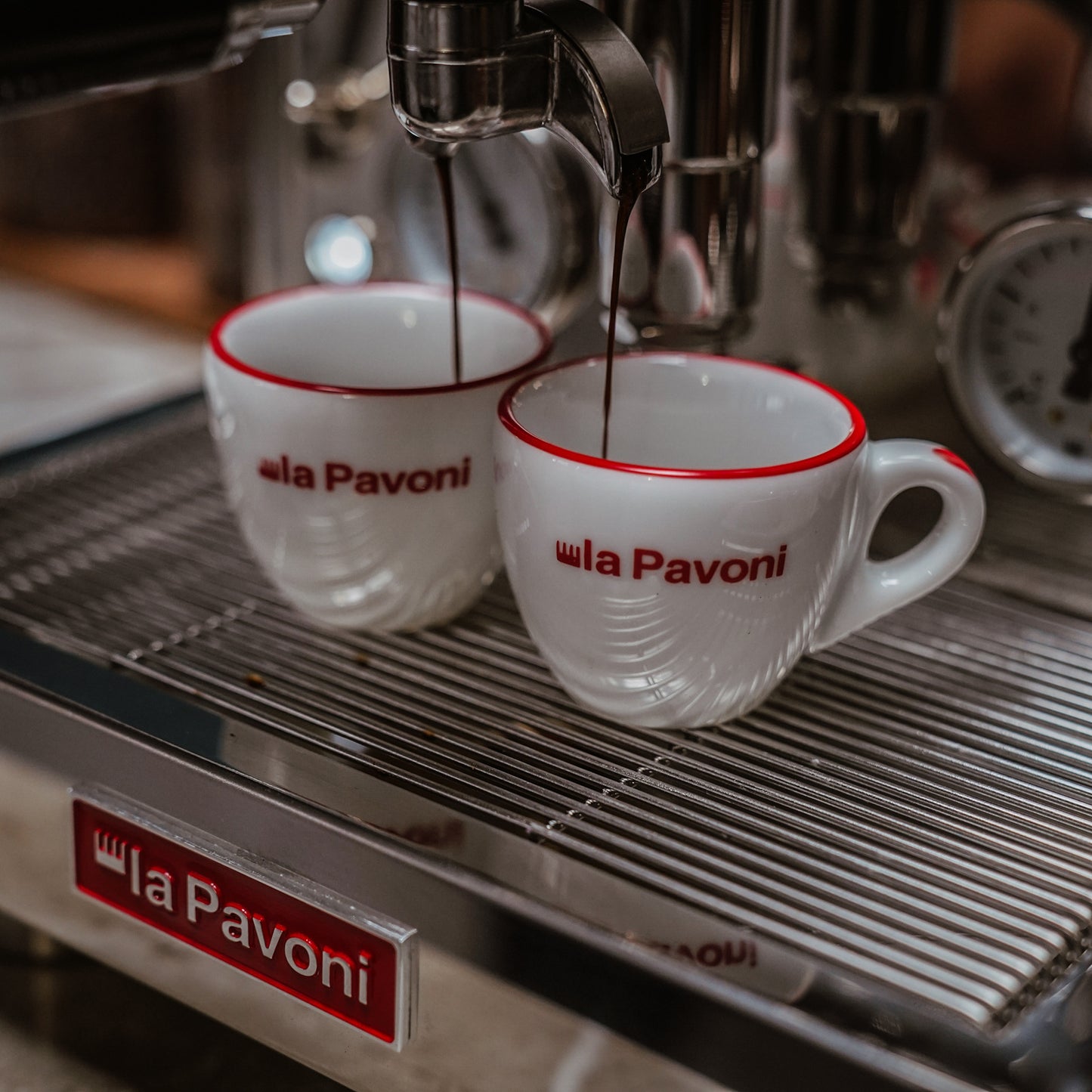 La Pavoni Cellini Evolution Staibless Steel - LPSCVS11US