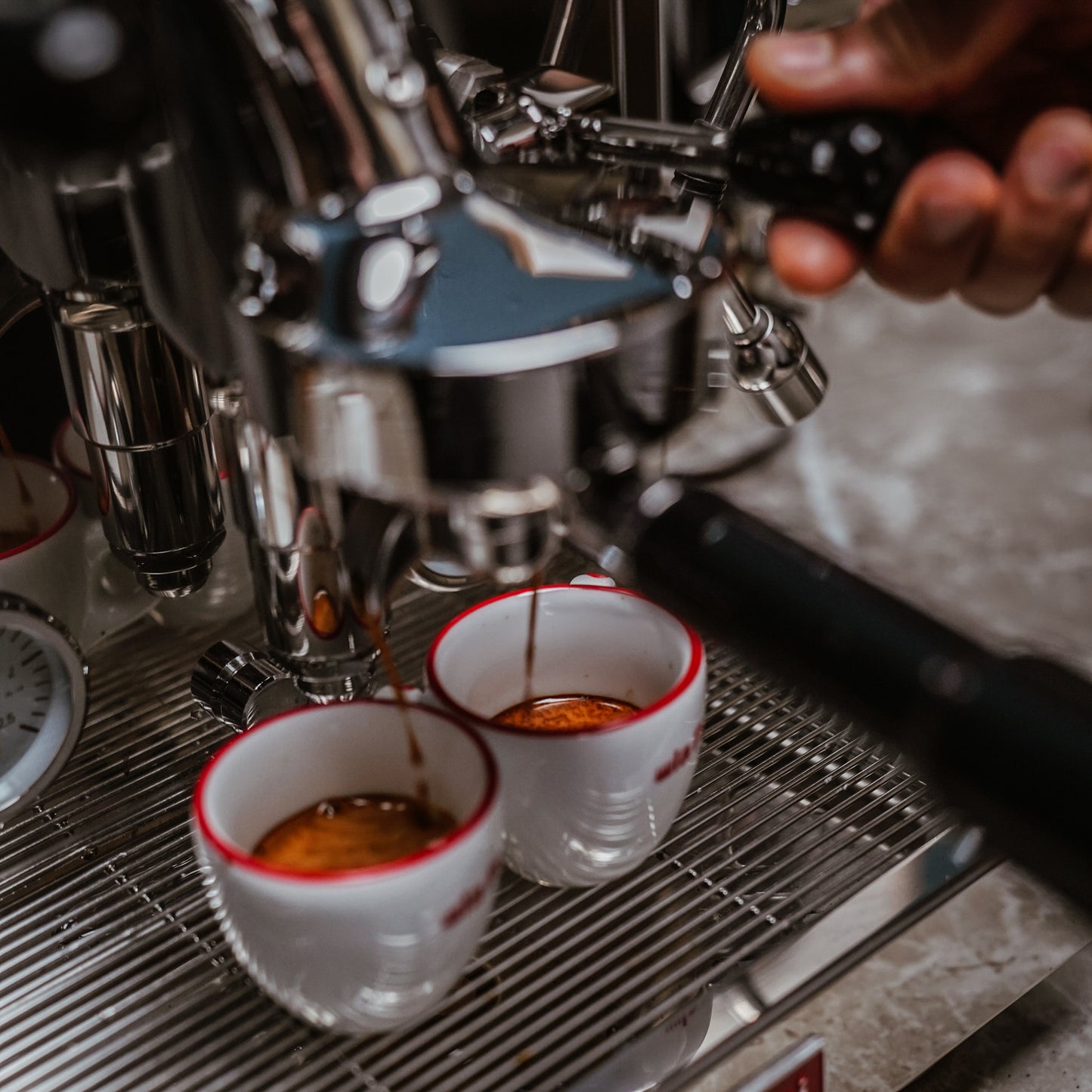 La Pavoni Cellini Evolution Staibless Steel - LPSCVS11US