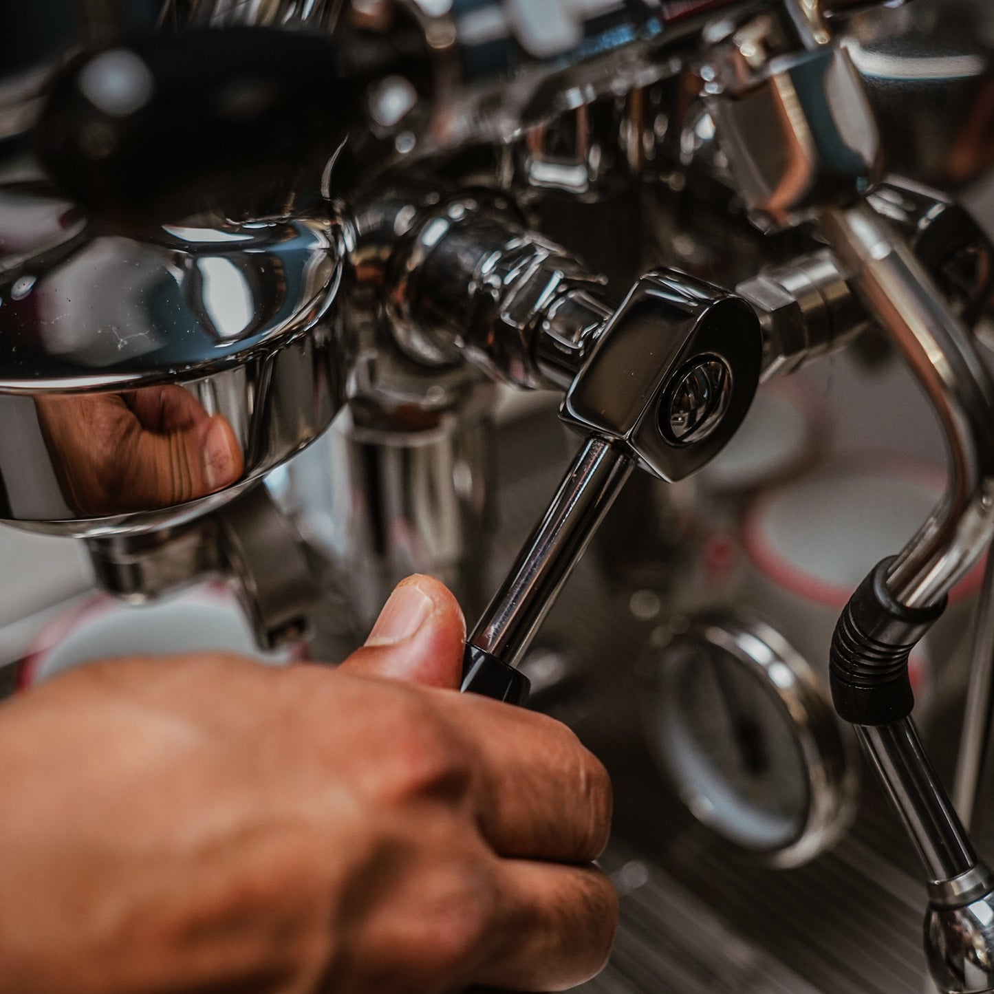 La Pavoni Cellini Evolution Staibless Steel - LPSCVS11US