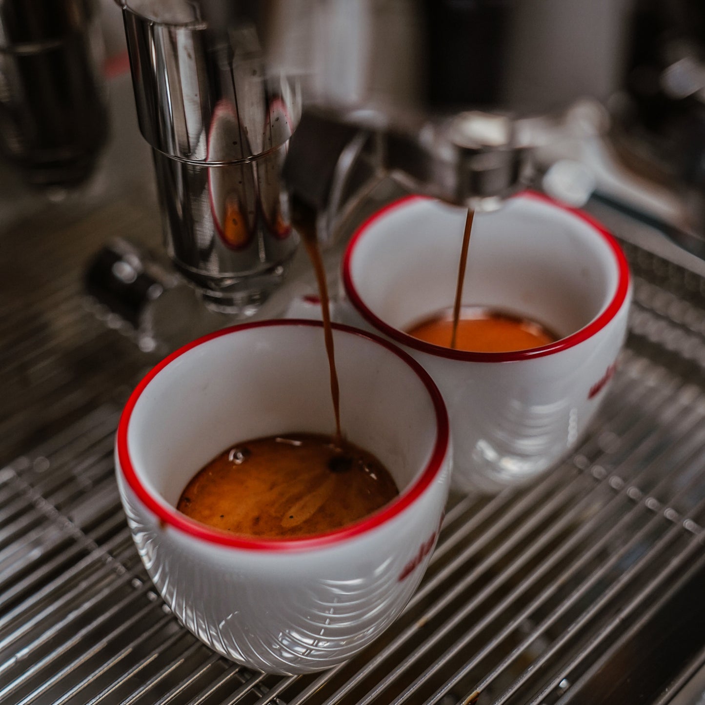 La Pavoni Cellini Evolution Staibless Steel - LPSCVS11US